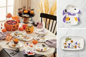 Lenox Snoopy Composite