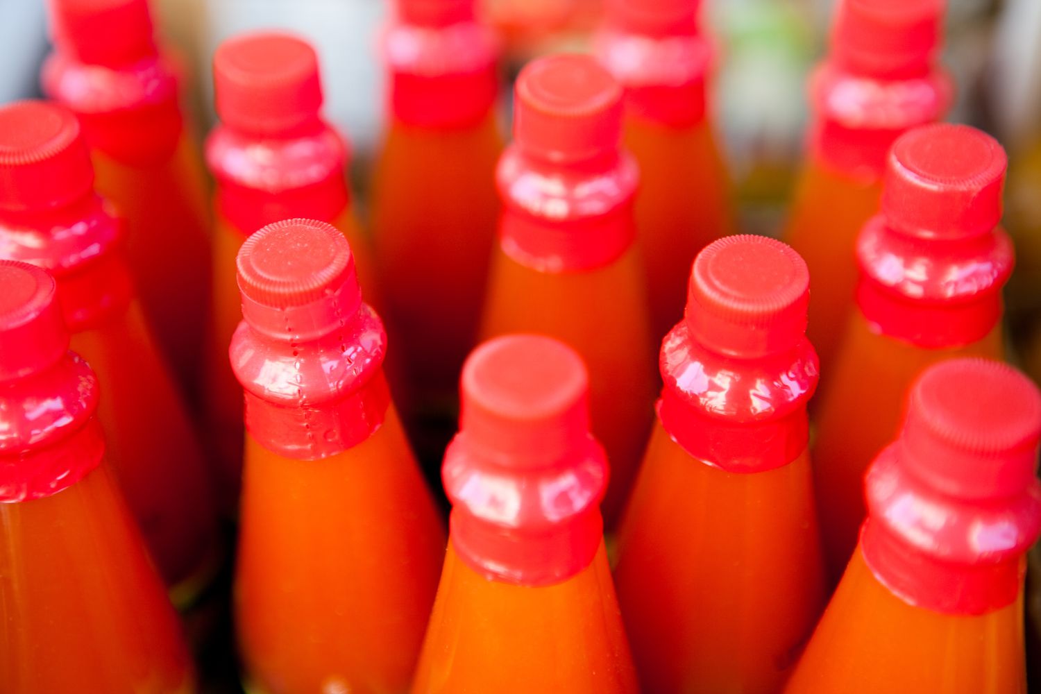 Rows of hot sauce bottles