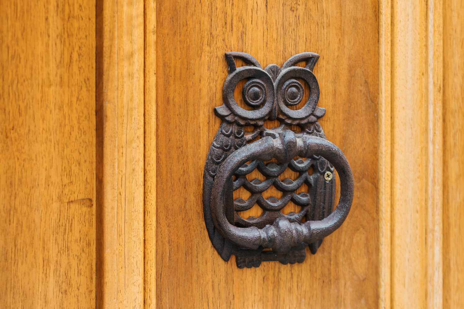 Decorative owl door knocker on a wooden door