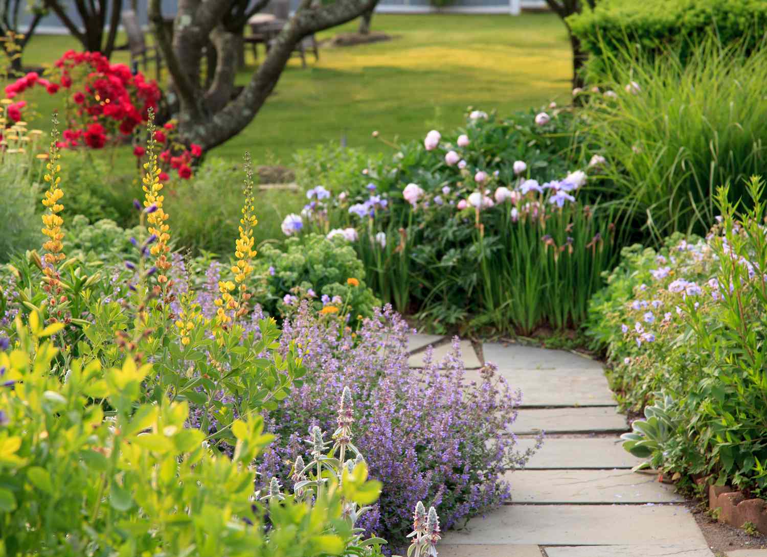 home garden with a path and flowers