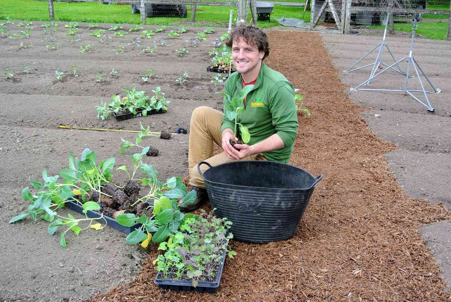 Martha's gardener planting vegetables in the garden