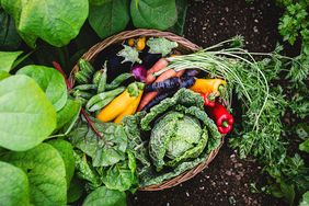 A basket containing an assortment of freshly harvested vegetables including cabbage carrots and peppers placed outdoors