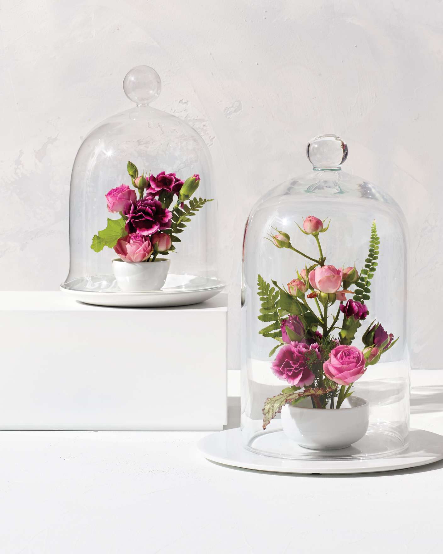 miniature-arrangements-under-glass-678-main-d112539.jpg