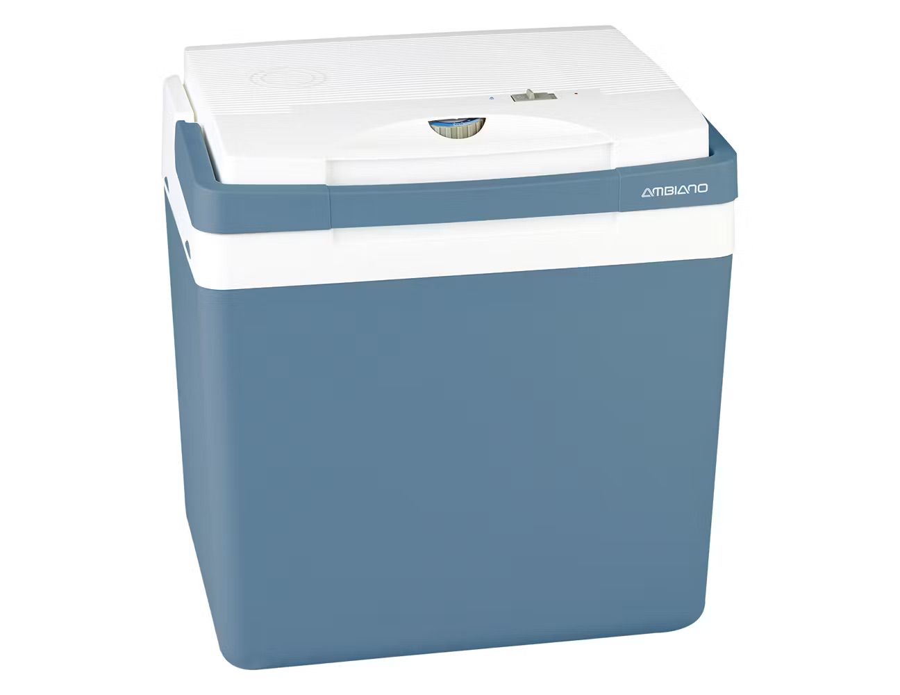 Portable cooler with a lid and carrying handle