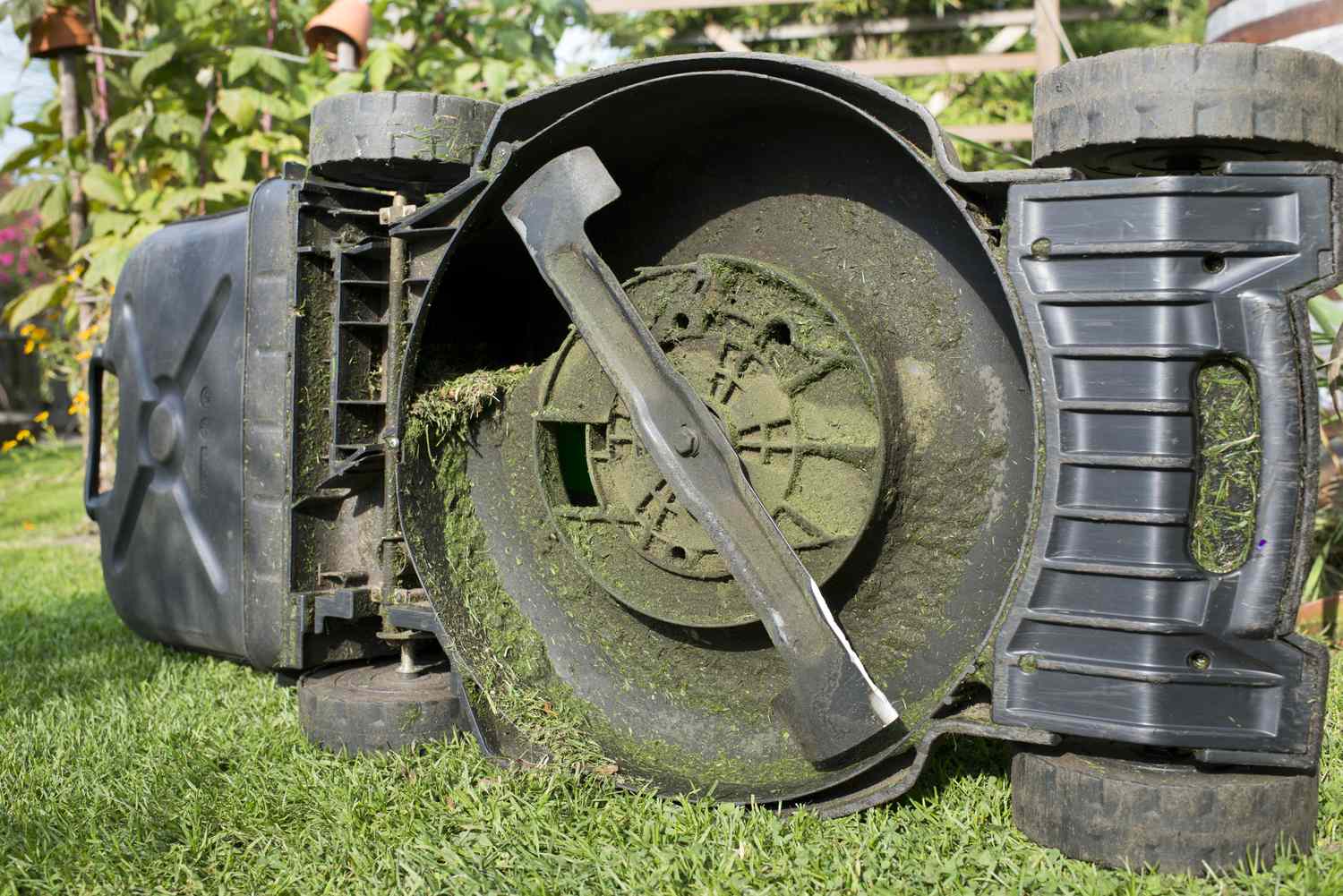 Underside view of a lawnmower showing the blade and grass residue