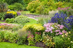 A garden with various flowering plants and shrubs arranged along a pathway