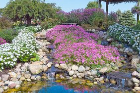 Rock garden with water feature and flowers