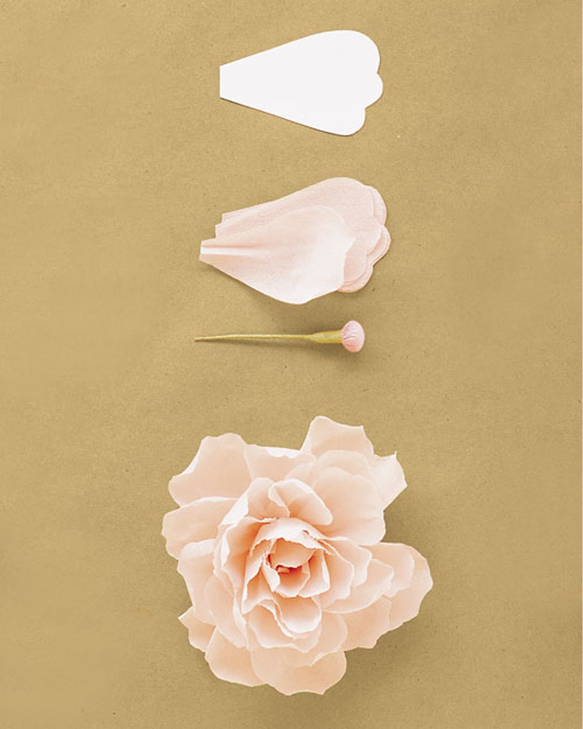 paper peony