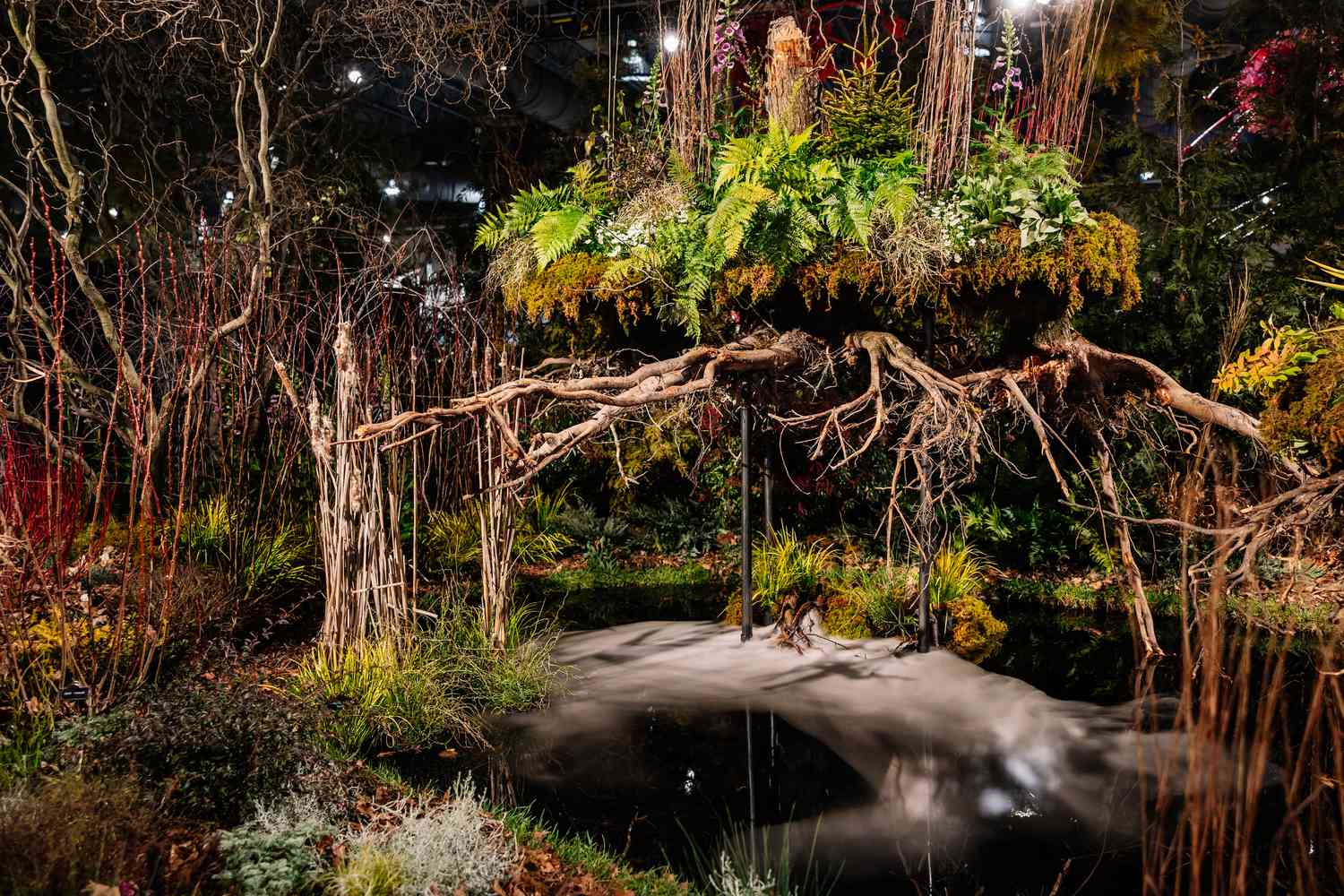 Roots exposed under a tree