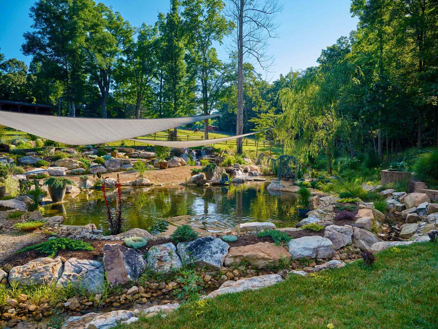 natural swimming pool pond