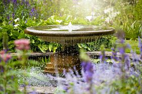 Fountain in garden