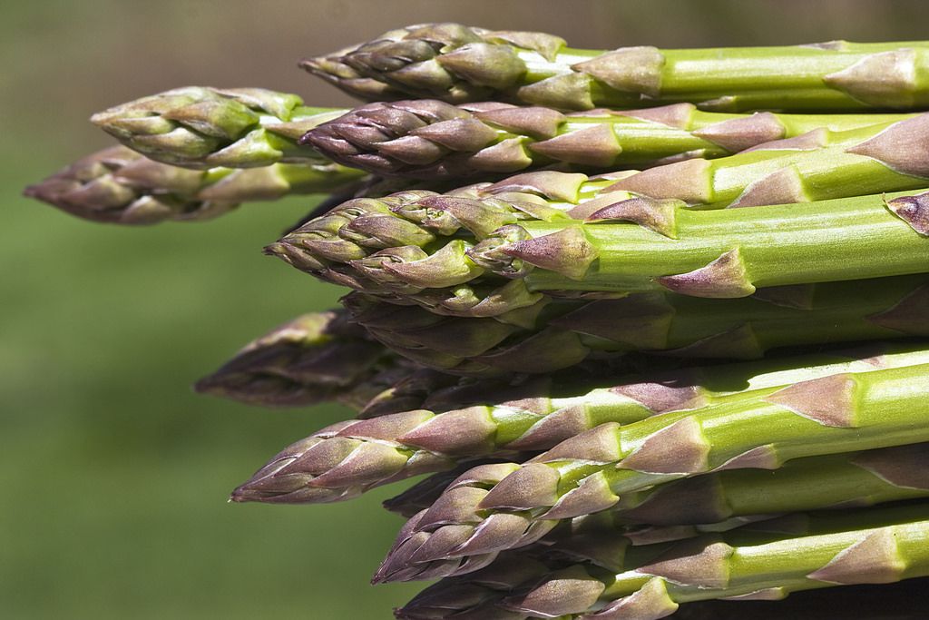 Asparagus