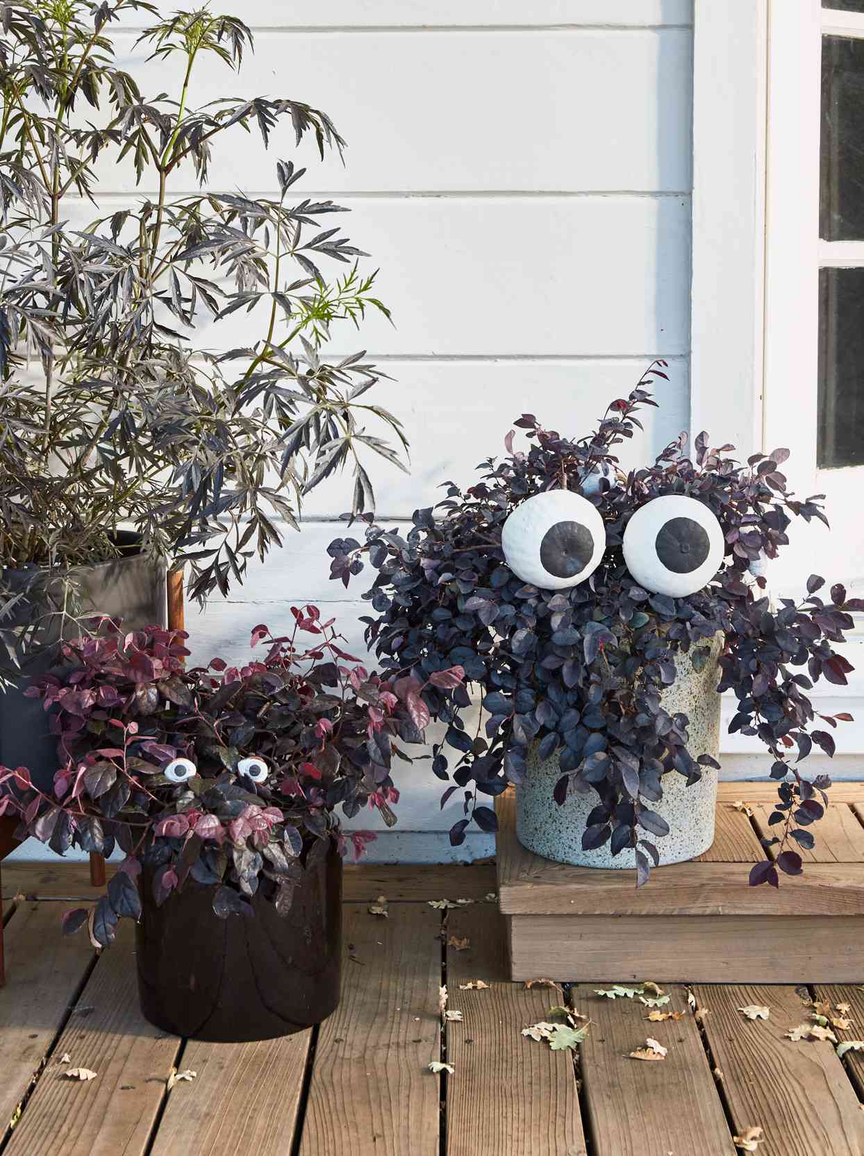 halloween eyes for outdoor planters