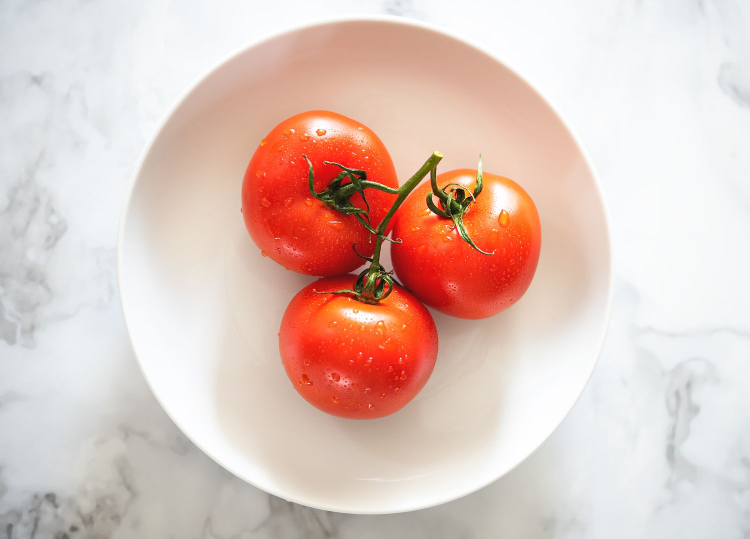 Three ripe red tomatoes on the vine shot in a brightly lit neutral setting.