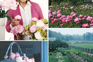 decorvow collage with peonies