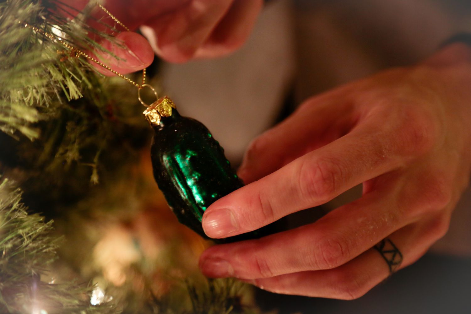 Person hanging up a pickle ornament on a Christmas tree