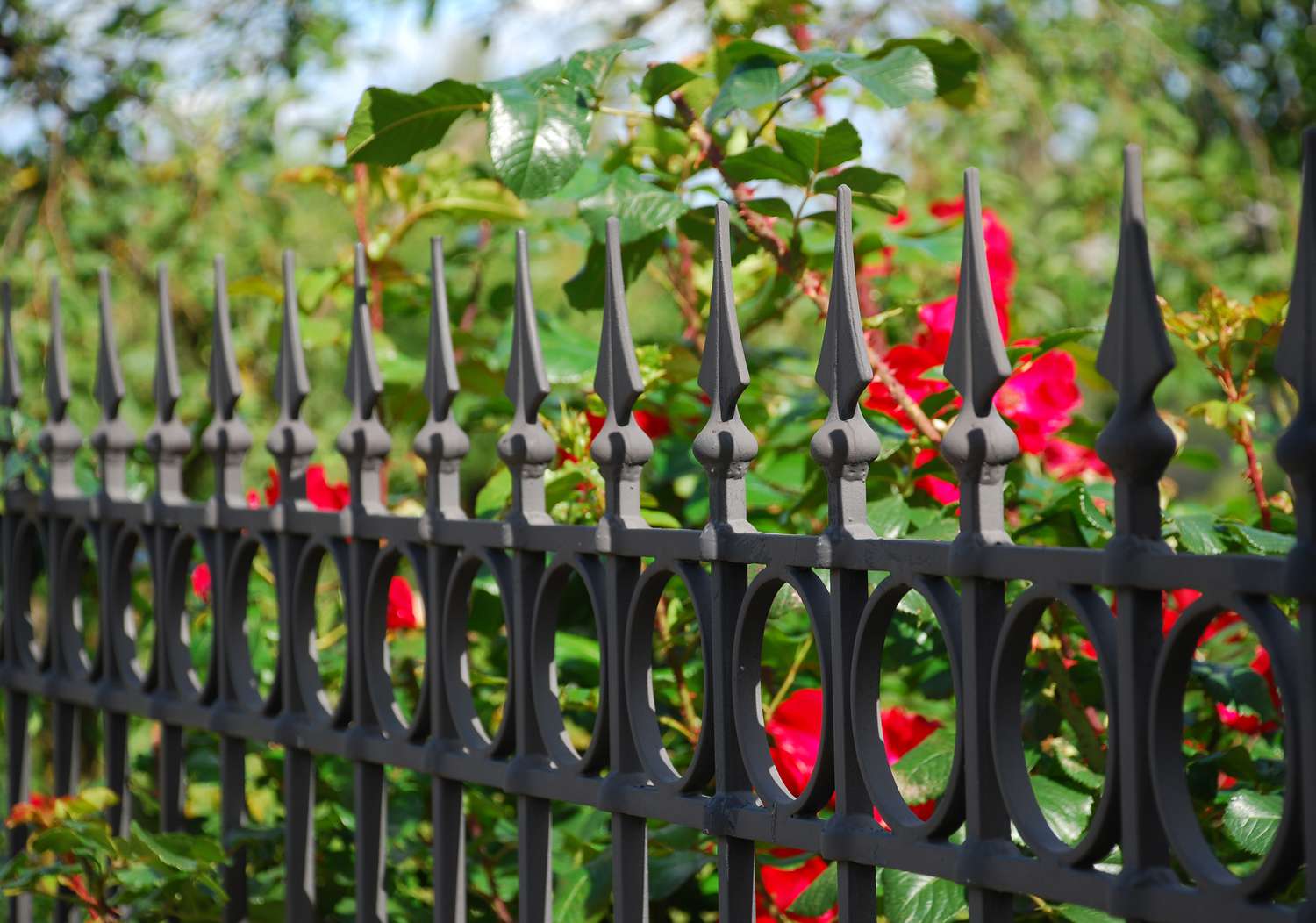 Wrought Iron Fence