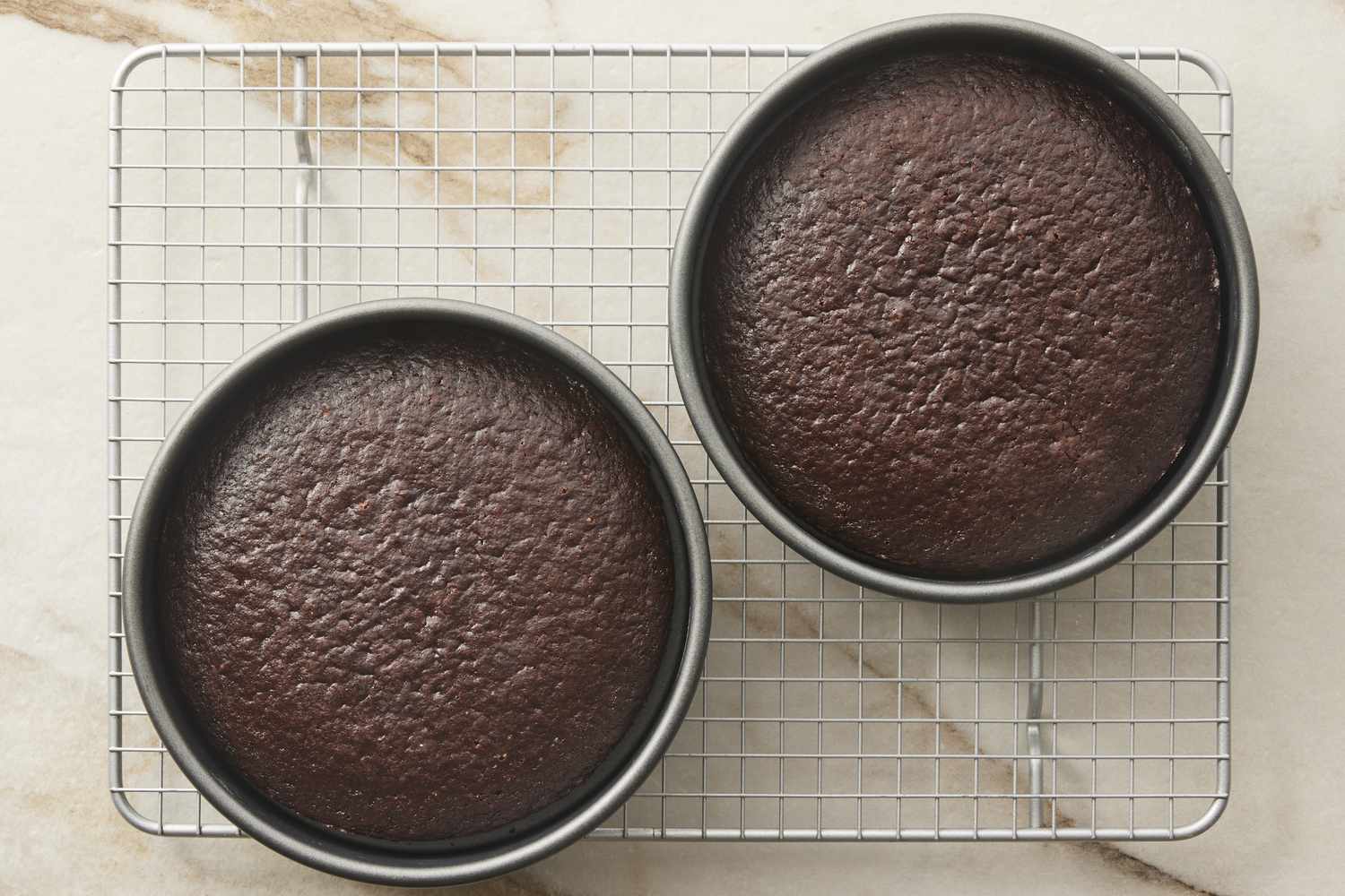 Baked chocolate cakes in pans