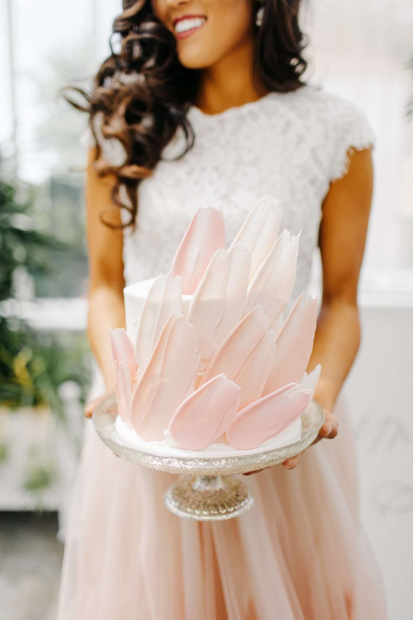 cake designs sarah libby