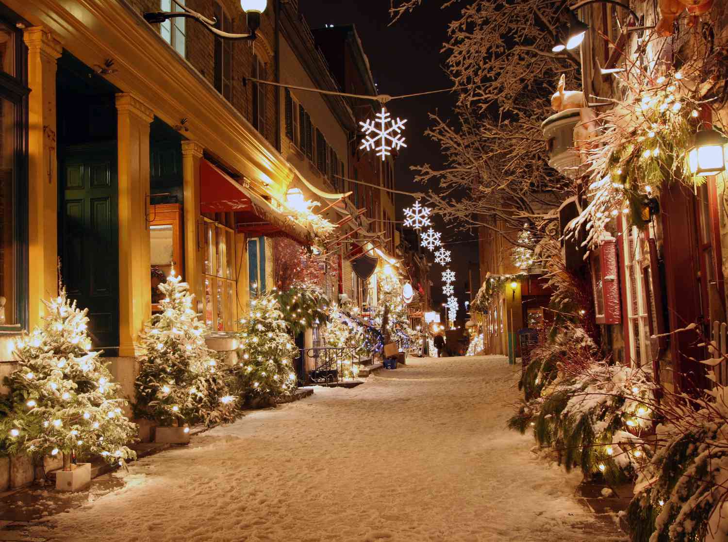Street decorated for Christmas