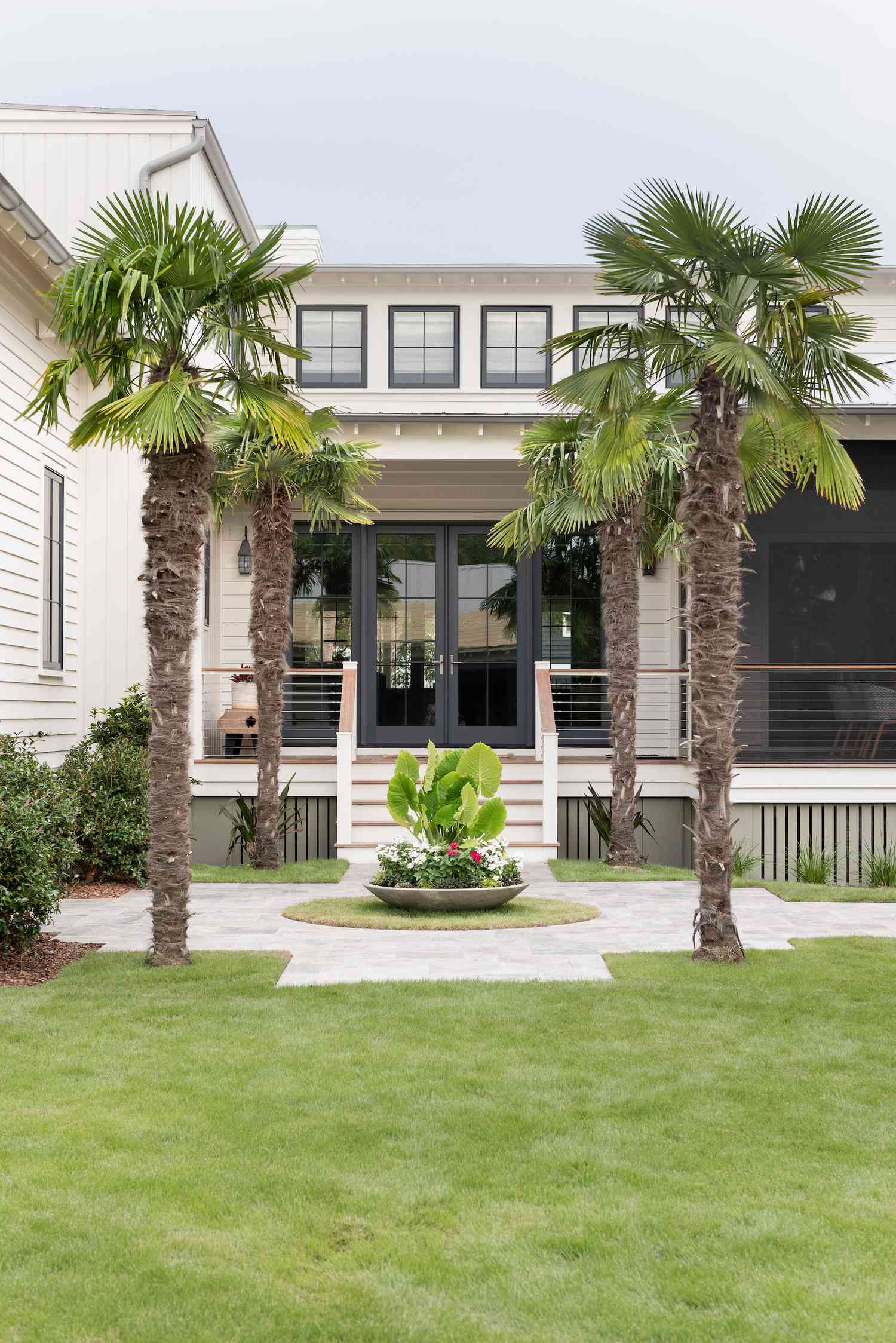 palm tree modern landscaping idea