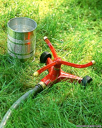a98551_0301_wateringlawn.jpg