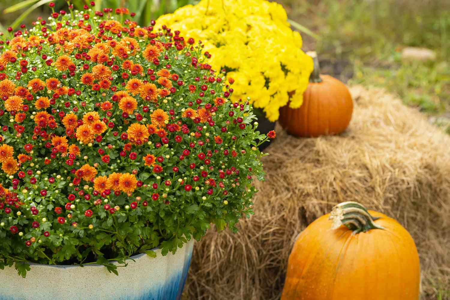 A fallthemed arrangement with flowers pumpkins and a hay bale