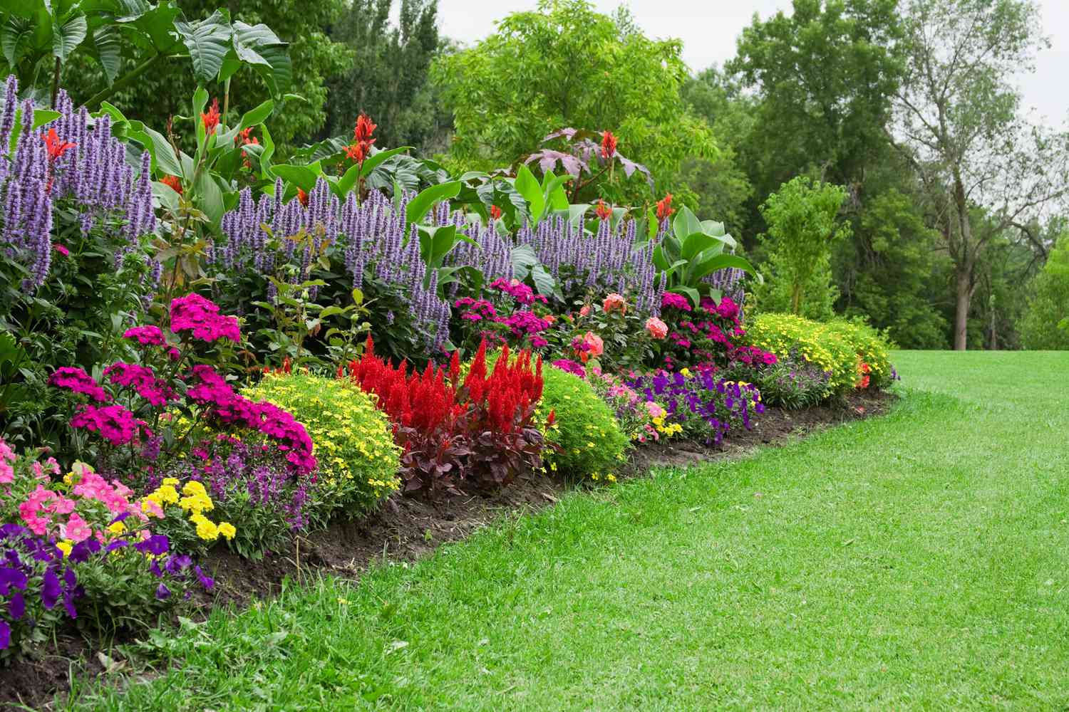 Border garden