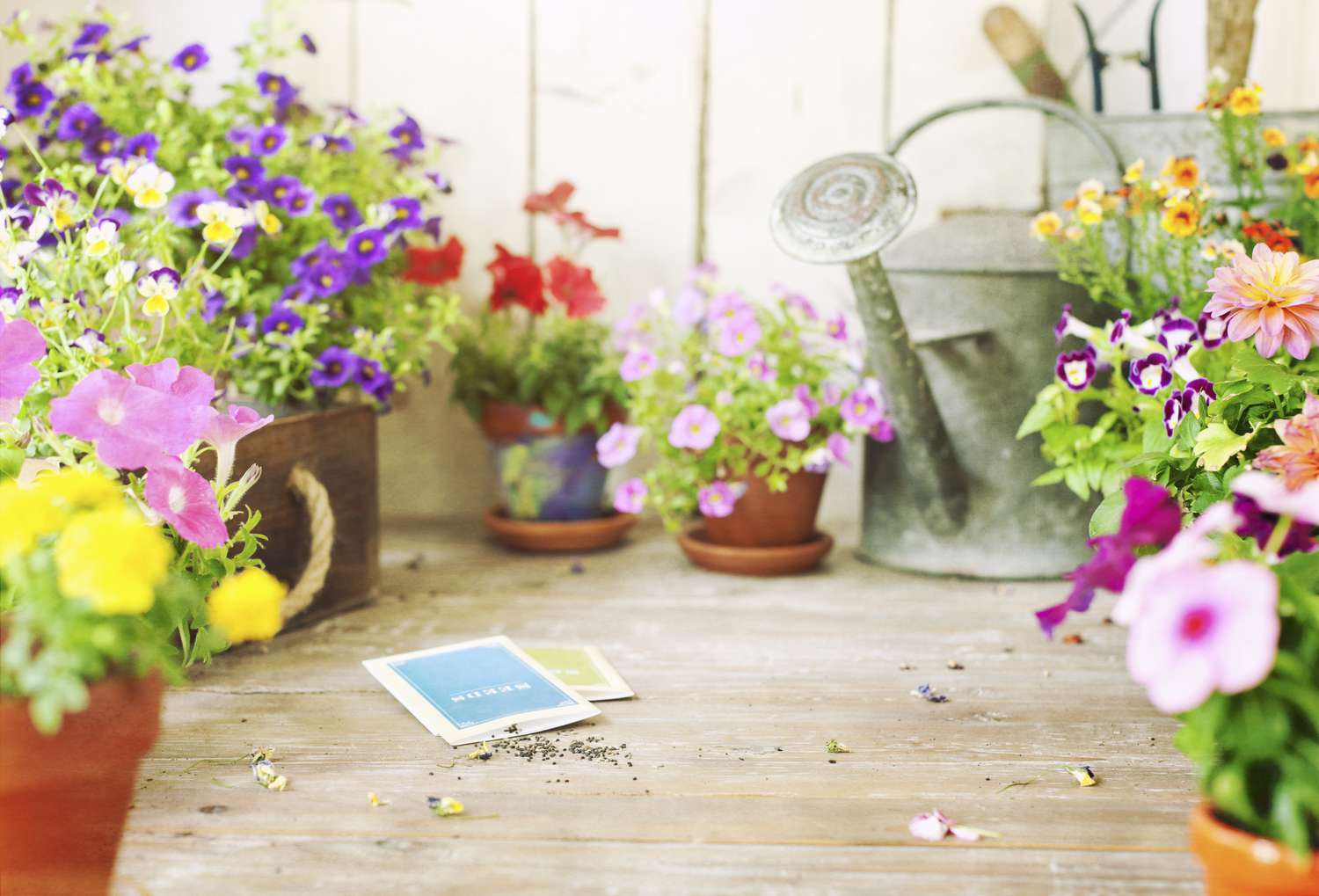 Flower seeds on table 
