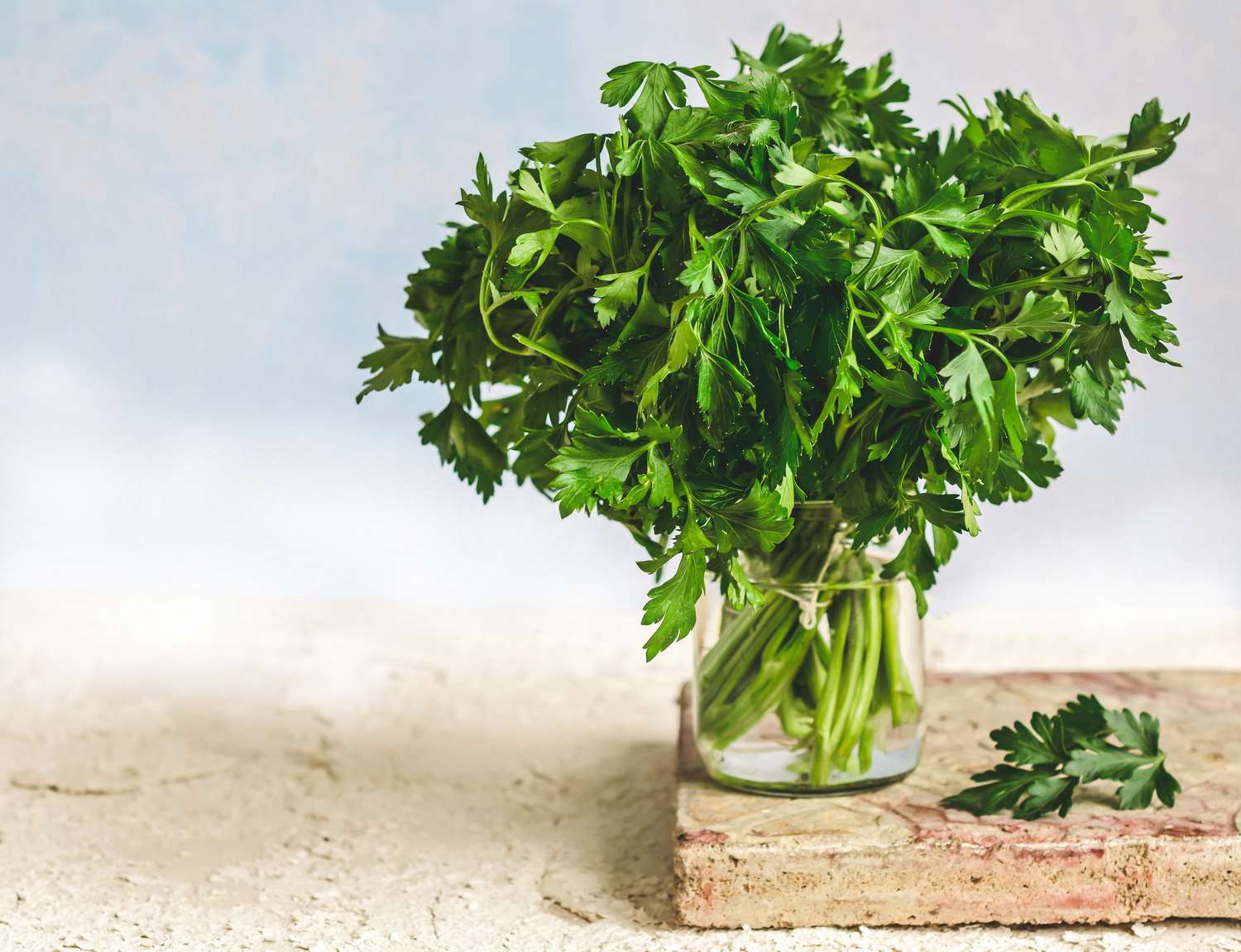Bunch of fresh parsley in jar