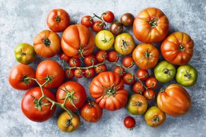 tomato varieties