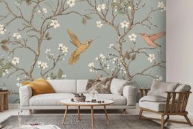 Hummingbird Blossom Wallpaper