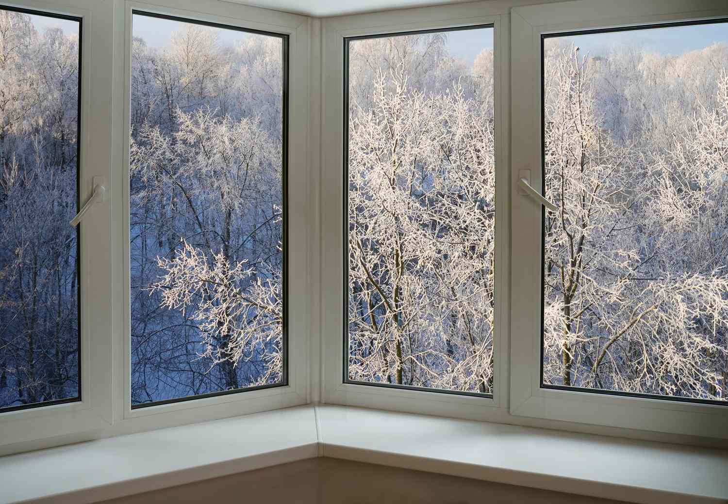 A winter scene viewed through a multipane window with snowcovered trees