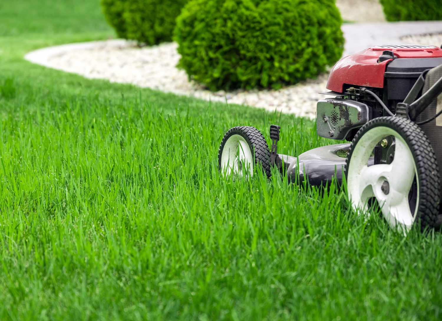red lawn mower in grass with bushes in background
