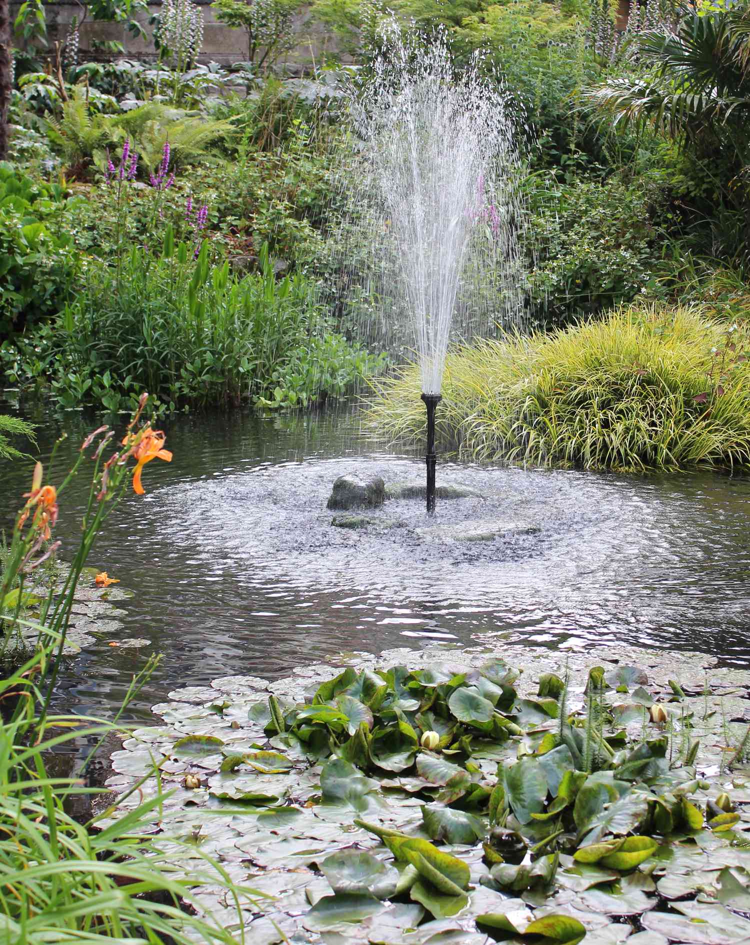 Photo showing a beautiful landscaped garden pond, with koi carp, goldfish, shubunkins and a large fountain in the centre, which is both attractive and helps to provide additional aeration to the water, with its splashing.