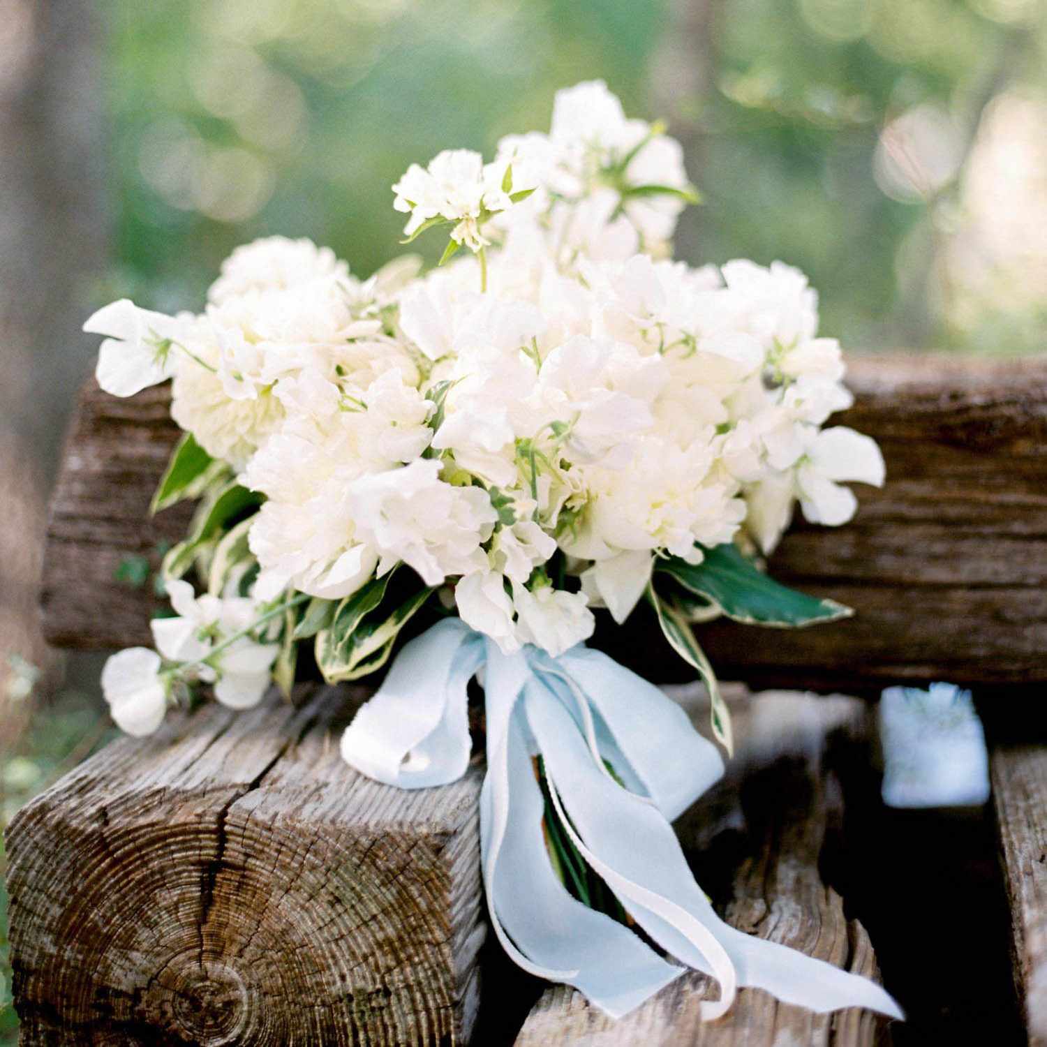 sweet pea bouquet with blue ribbon