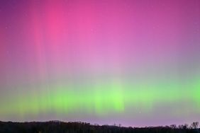 Northern Lights over trees on the horizon