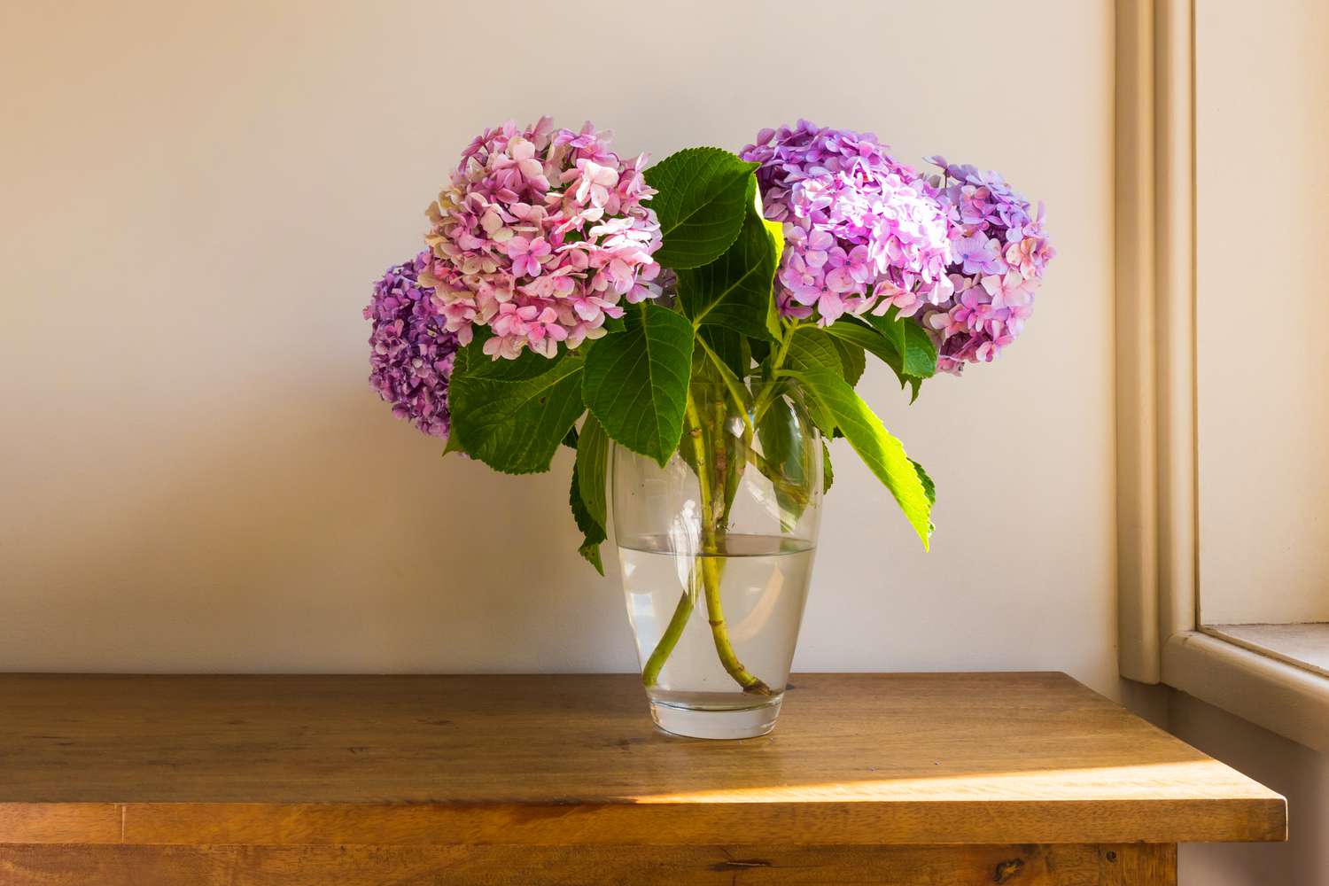 indoor vase of hydrangeas