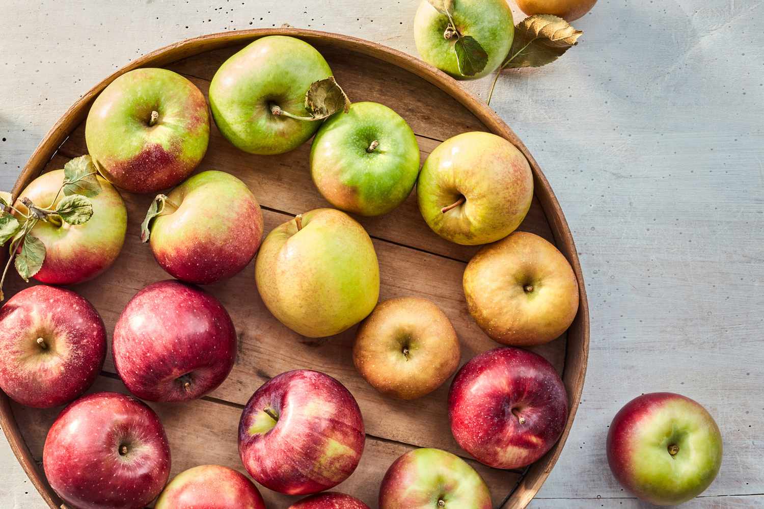 various types of apples