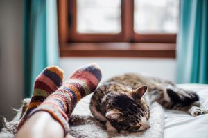 cat asleep at feet