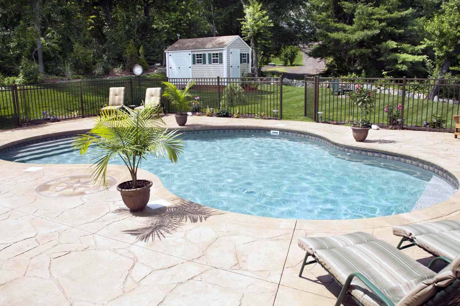 A backyard with a pool lounge chairs and a small shed