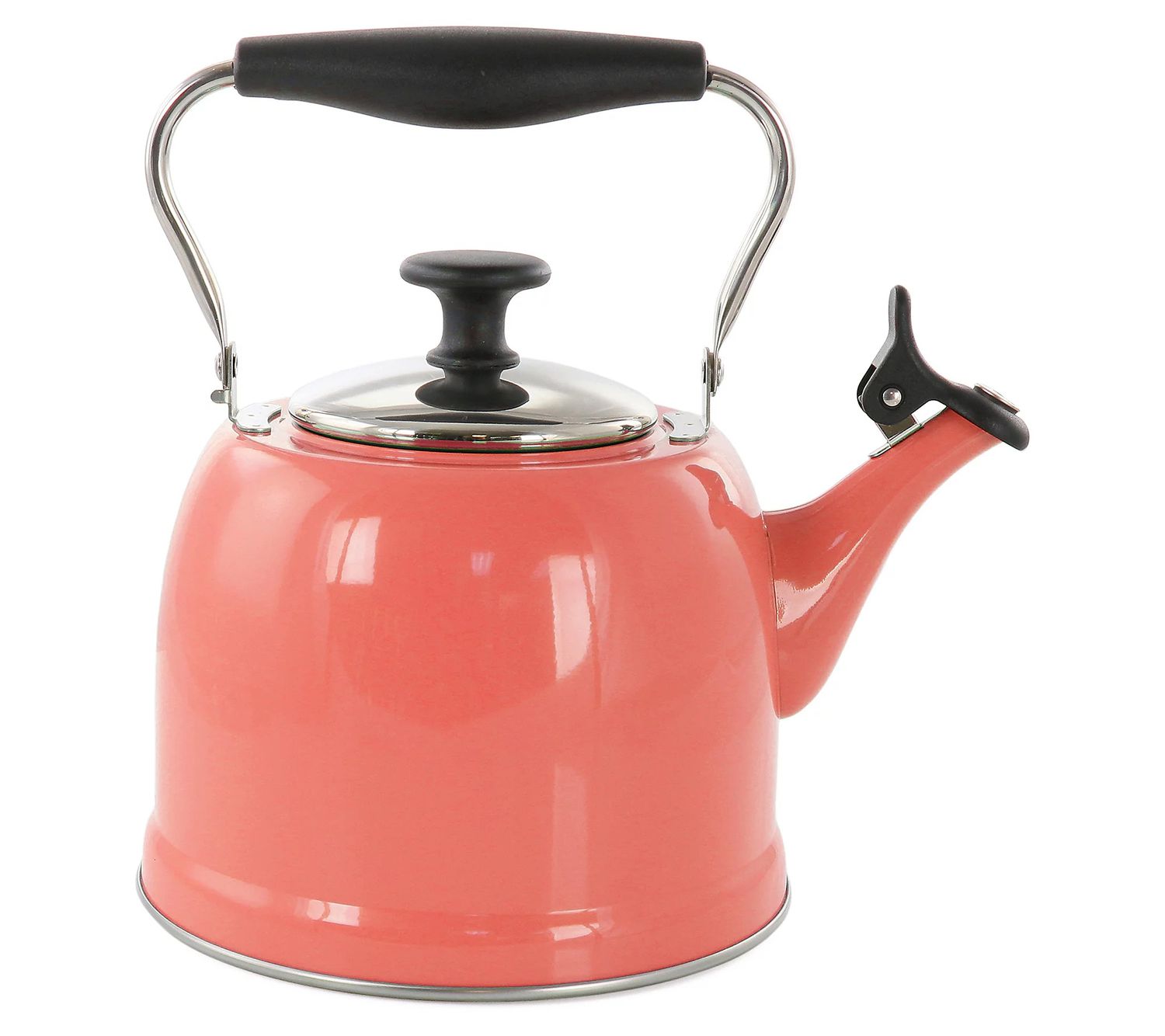 decorvow Lily Pond 2.2 Quart Stainless Steel Tea Kettle