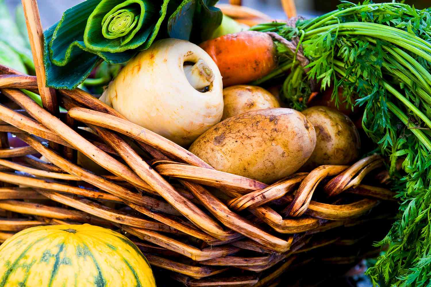 Seasonal vegetables in basket