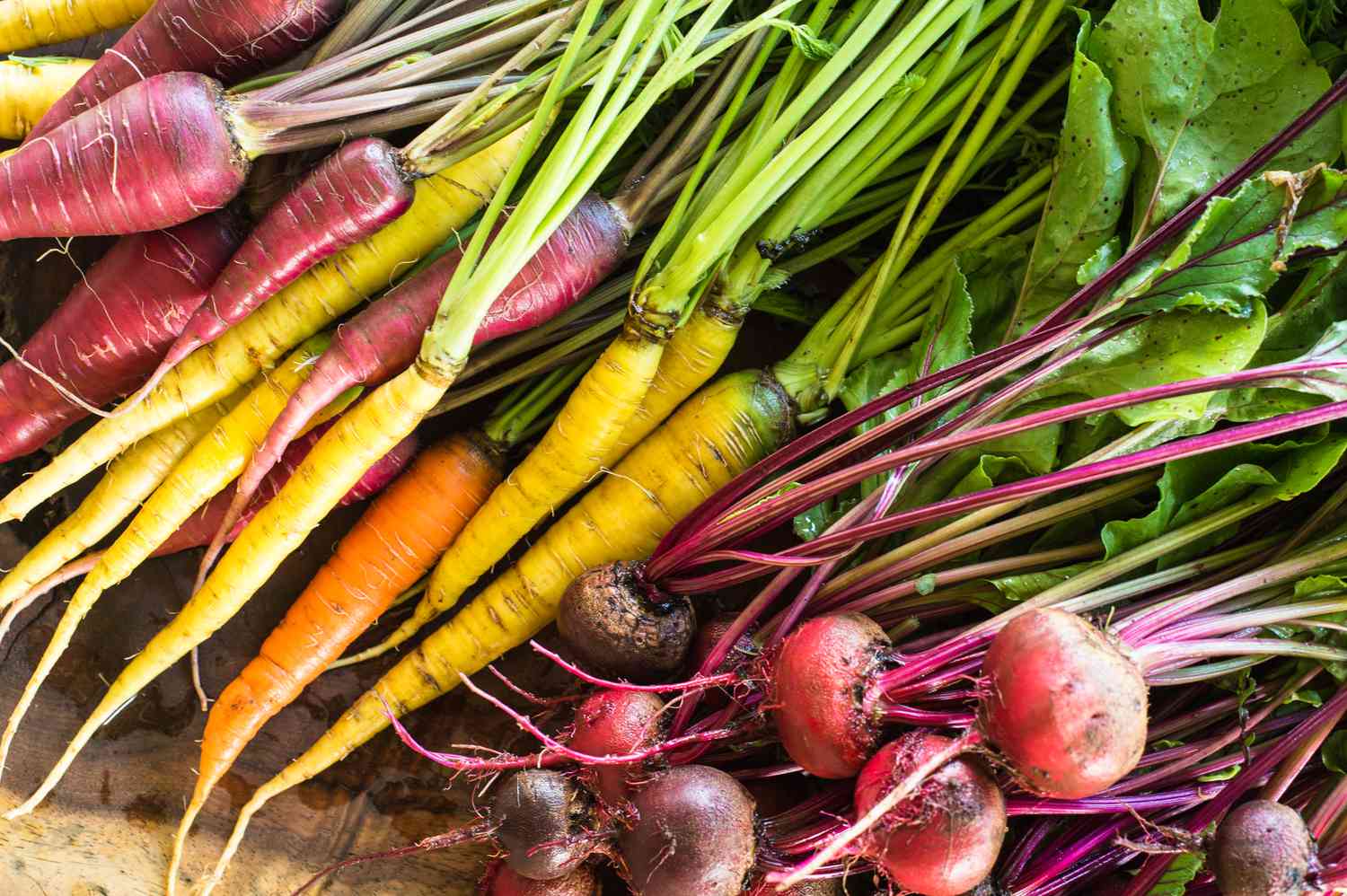 Freshly picked carrots and beets of varying color lay on a wood table. 