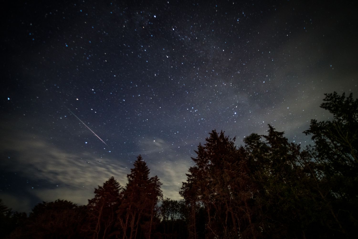 Starry night sky with a visible meteor streak trees silhouetted below