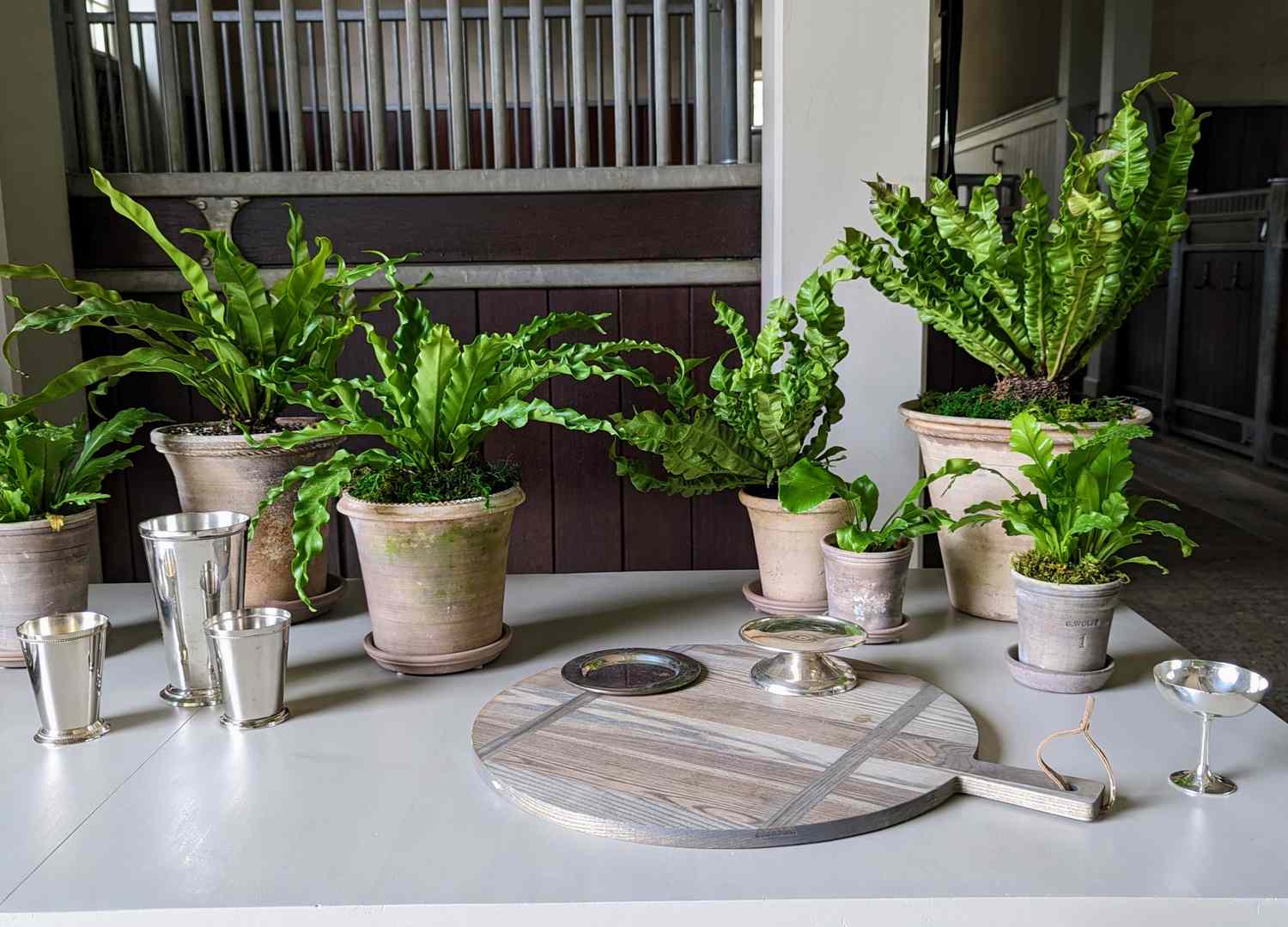 Table with container plants
