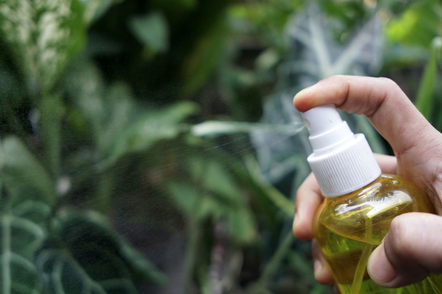 A hand holding a spray bottle misting plants in a garden setting
