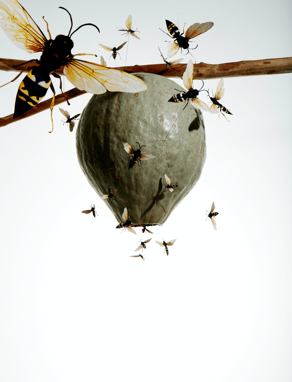 decorated gourd as hornets nest