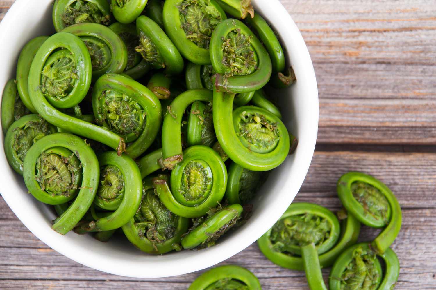 fiddleheads in a white bowl on wood surface