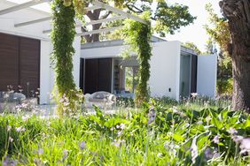 Patio and garden in rear of modern home
